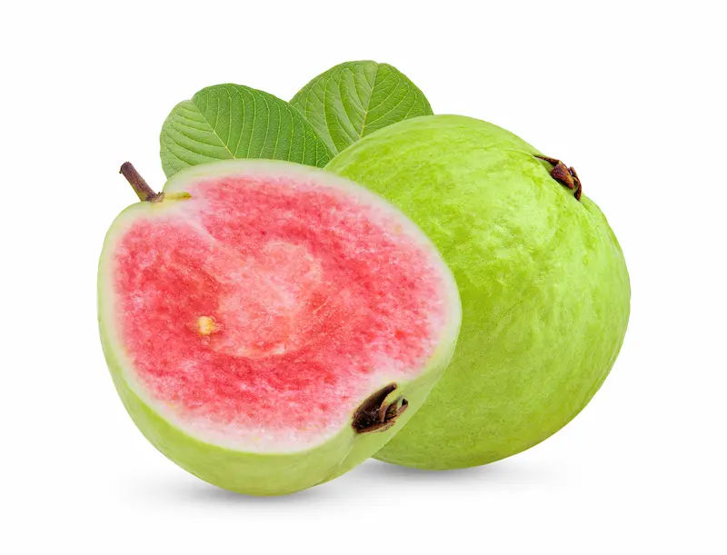 Guava Fruit, Leaf Benefits and How to Use Them